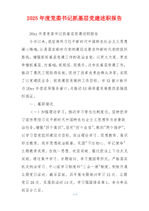 2025年度党委书记抓基层党建述职报告