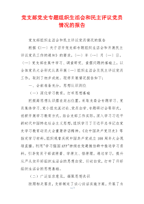 党支部党史专题组织生活会和民主评议党员情况的报告