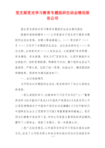 党支部党史学习教育专题组织生活会情况报告公司