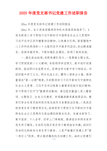 2025年度党支部书记党建工作述职报告