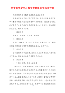 党支部党史学习教育专题组织生活会方案