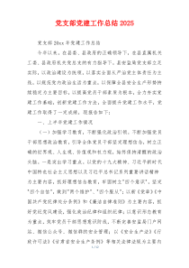 党支部党建工作总结2025