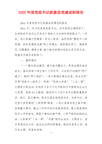 2025年度党组书记抓基层党建述职报告