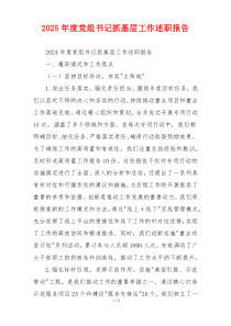 2025年度党组书记抓基层工作述职报告
