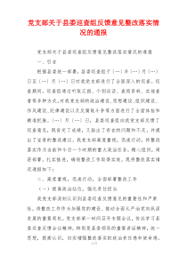 党支部关于县委巡查组反馈意见整改落实情况的通报