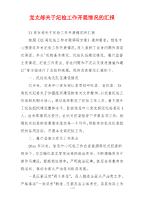 党支部关于纪检工作开展情况的汇报
