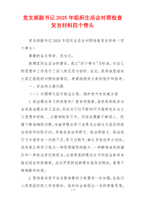 党支部副书记2025年组织生活会对照检查发言材料四个带头