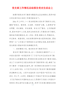 党支部工作情况总结报告党史生活会上