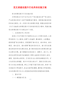党支部建设提升行动具体实施方案