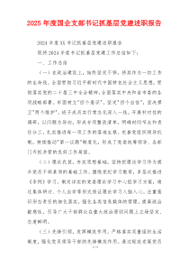 2025年度国企支部书记抓基层党建述职报告