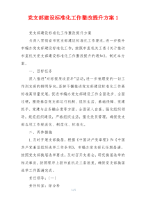 党支部建设标准化工作整改提升方案1