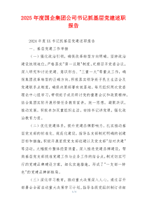 2025年度国企集团公司书记抓基层党建述职报告