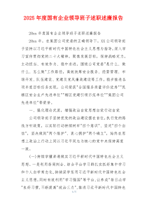2025年度国有企业领导班子述职述廉报告