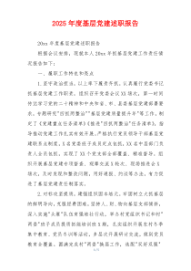 2025年度基层党建述职报告
