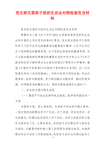 党支部支委班子组织生活会对照检查发言材料