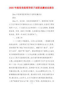 2025年度局党组领导班子述职述廉述法报告