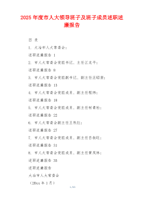 2025年度市人大领导班子及班子成员述职述廉报告