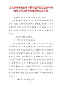 党支部班子党史学习教育组织生活会剖析材料党史学习教育开展情况总结详细