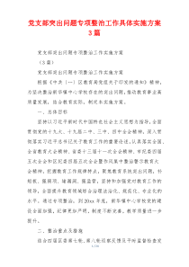 党支部突出问题专项整治工作具体实施方案3篇