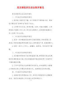 党支部组织生活会批评意见