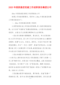 2025年度抓基层党建工作述职报告集团公司