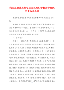 党支部脱贫攻坚专项巡视回头看整改专题民主生活会总结