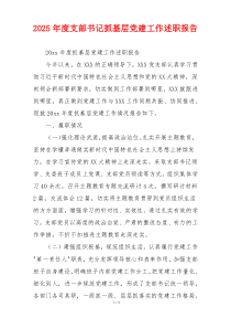 2025年度支部书记抓基层党建工作述职报告
