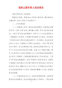 党政主要负责人述法报告