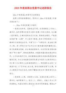 2025年度某国企党委书记述职报告
