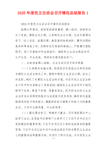 2025年度民主生活会召开情况总结报告1