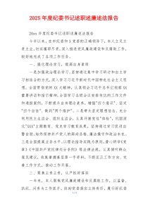 2025年度纪委书记述职述廉述法报告