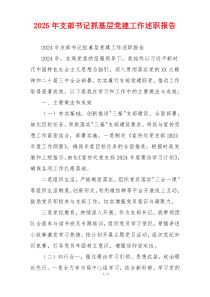 2025年支部书记抓基层党建工作述职报告