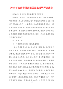 2025年支部书记抓基层党建述职评议报告