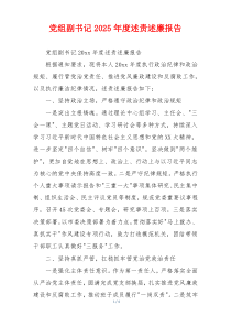党组副书记2025年度述责述廉报告