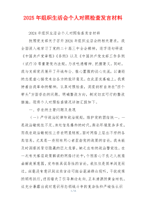 2025年组织生活会个人对照检查发言材料
