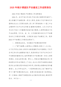 2025年统计调查队平安建设工作述职报告