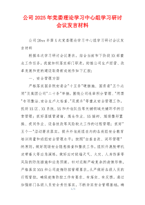 公司2025年党委理论学习中心组学习研讨会议发言材料