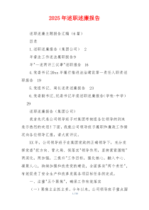 2025年述职述廉报告