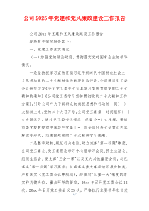公司2025年党建和党风廉政建设工作报告