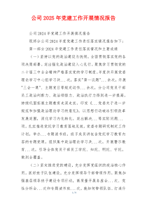 公司2025年党建工作开展情况报告