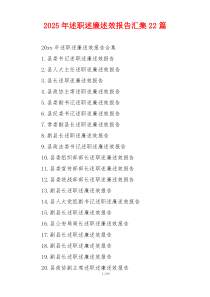 2025年述职述廉述效报告汇集22篇