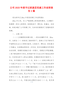 公司2025年度书记抓基层党建工作述职报告2篇