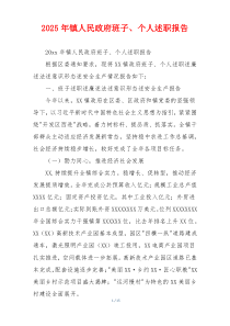 2025年镇人民政府班子、个人述职报告