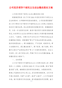 公司党员领导干部民主生活会整改落实方案
