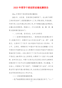 2025年领导干部述职述德述廉报告