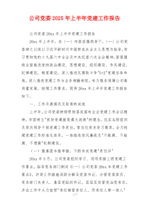 公司党委2025年上半年党建工作报告
