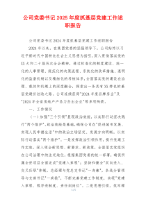 公司党委书记2025年度抓基层党建工作述职报告