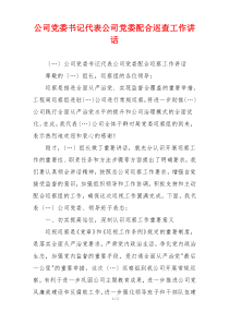 公司党委书记代表公司党委配合巡查工作讲话