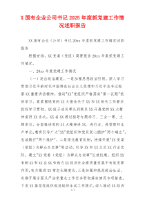 X国有企业公司书记2025年度抓党建工作情况述职报告