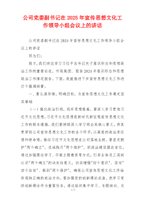 公司党委副书记在2025年宣传思想文化工作领导小组会议上的讲话